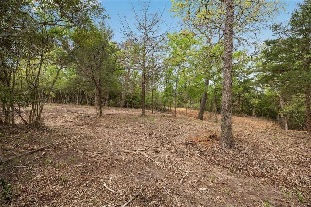 Photo of 4499 Old Navasota Rd