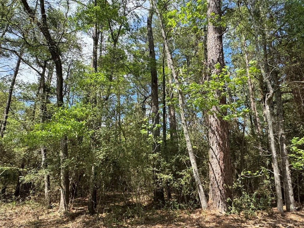 Photo of TBD02 Westwood Drive E