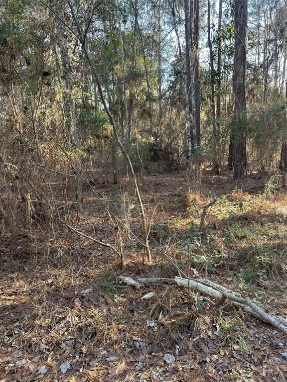 Photo of 00 Wright Boulevard