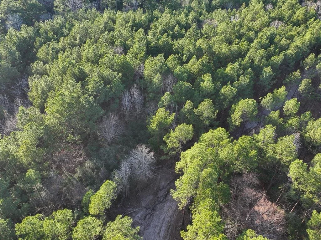 Photo of TBD Off Fm 355