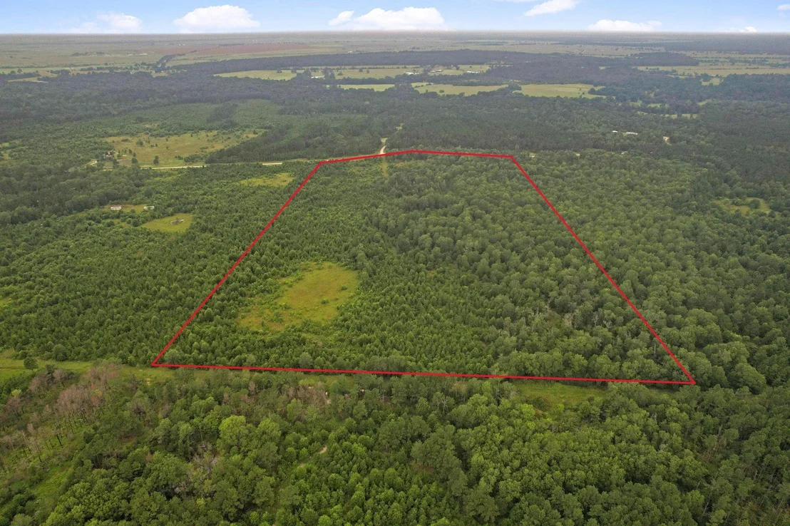 Photo of Tract 35 Fm 230