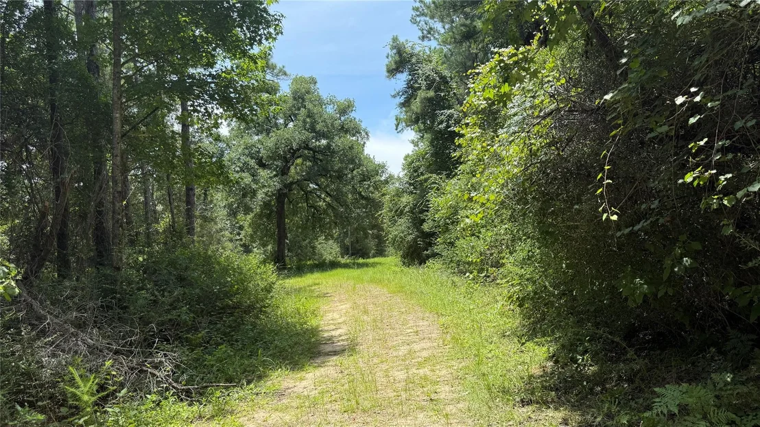 Photo of 422 County Road 4088