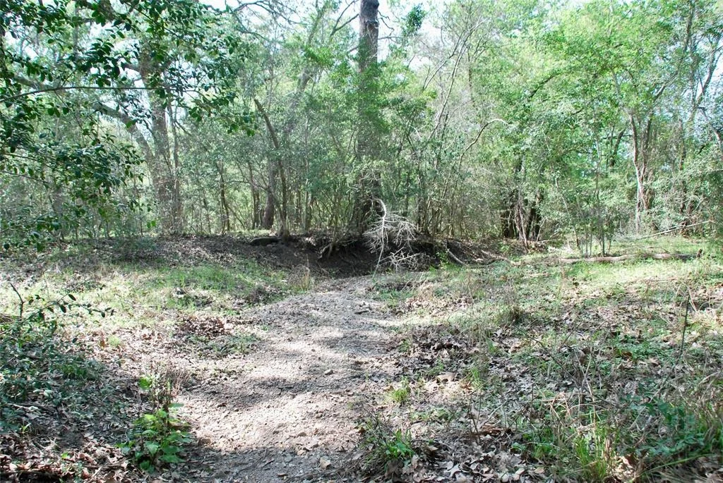 Photo of 1801 County Road 381