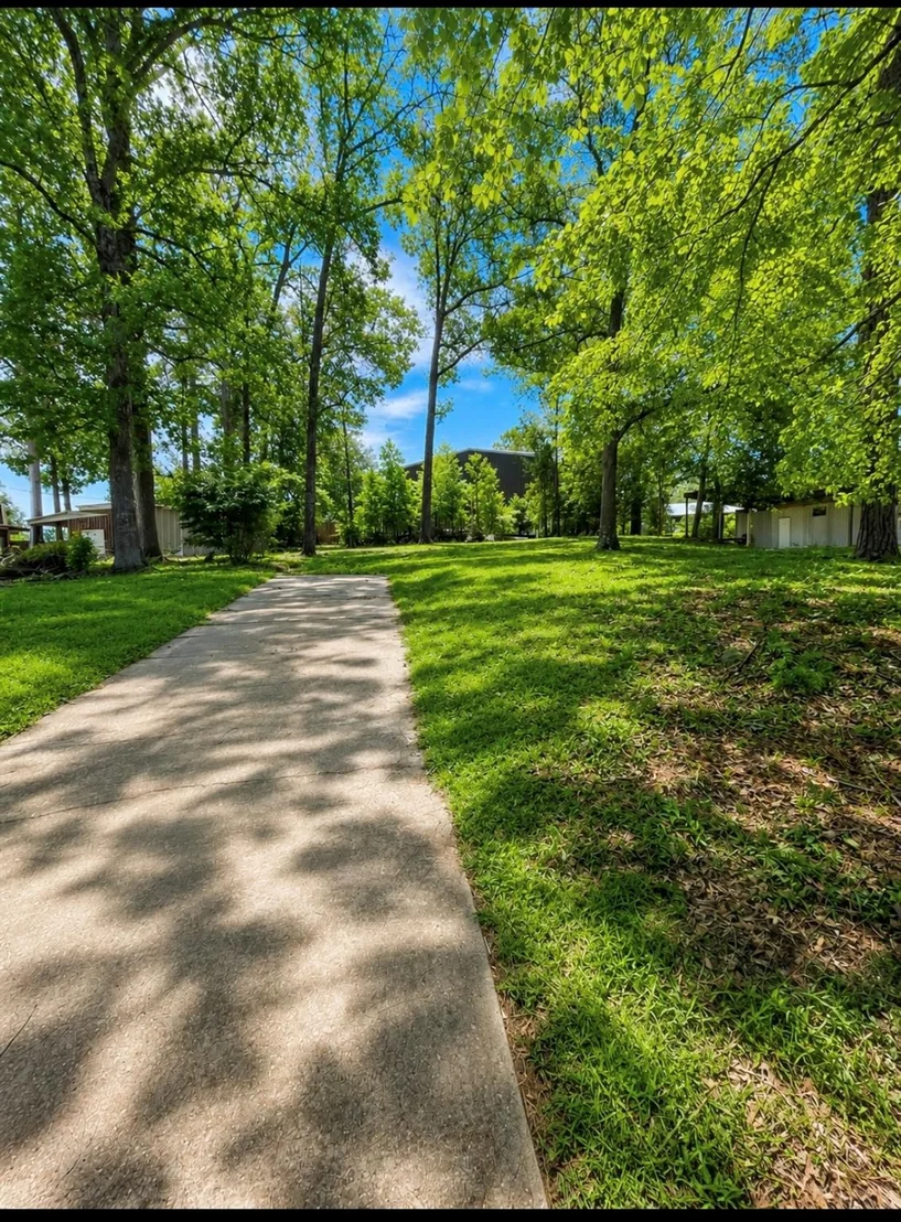 Photo of 203 Wildbriar Drive