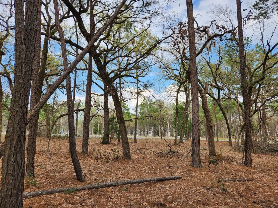 Photo of 3281 Shadow Pine Dr Lot