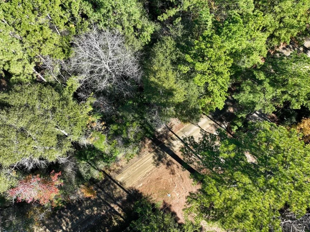 Photo of 445 County Road 3190