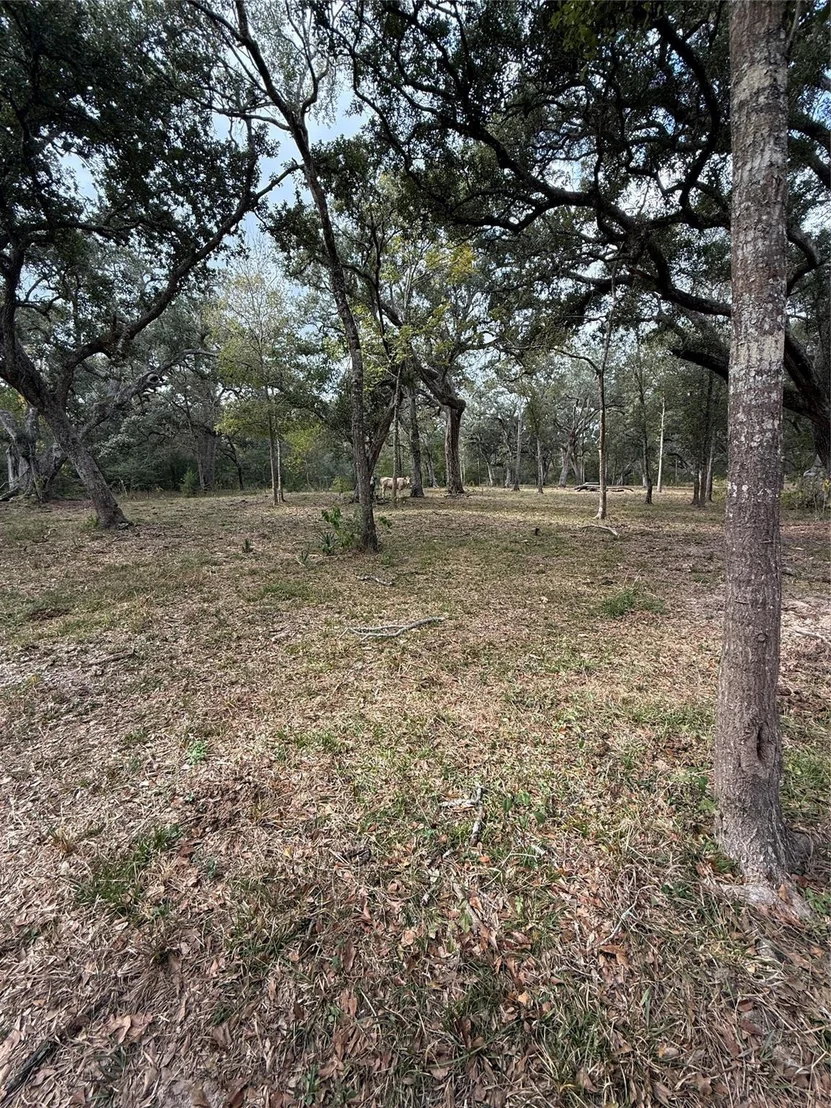Photo of 0 Fm-1459