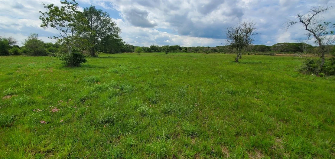 Photo of 250 County Road 447