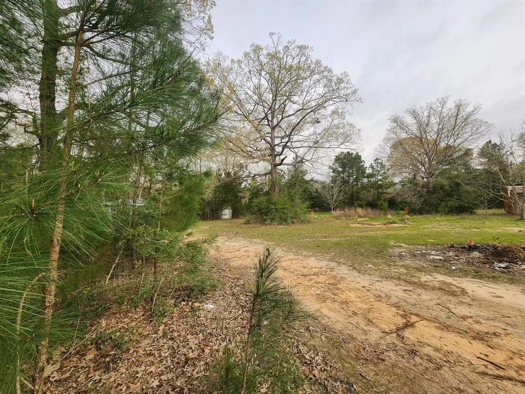 Photo of 434 Forest Hills Loop
