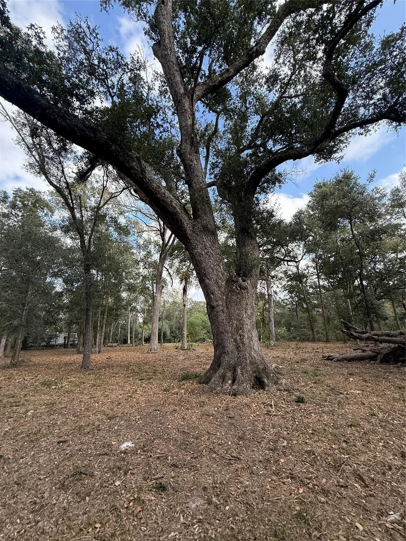Photo of 0 Fm-1459