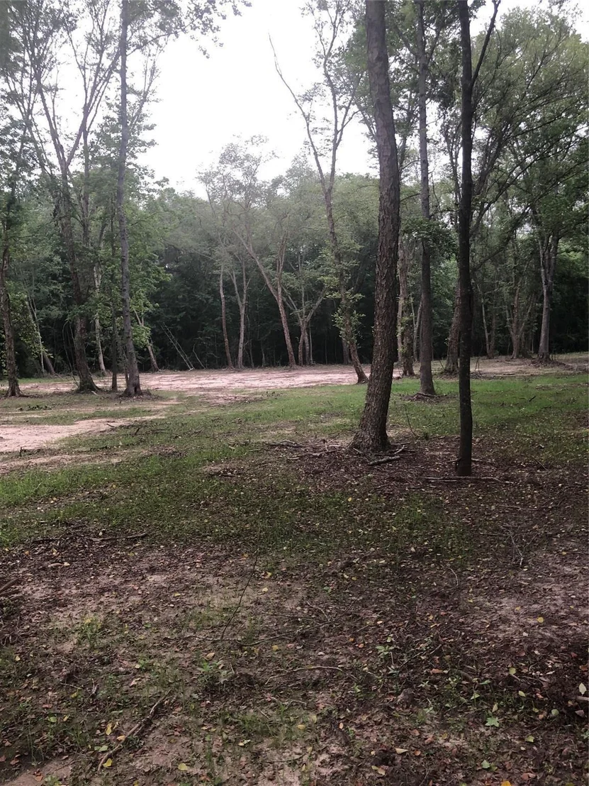 Photo of 1841 Pr 1315