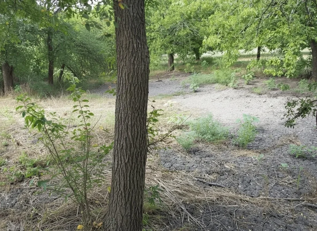 Photo of 11913 Mcangus Road
