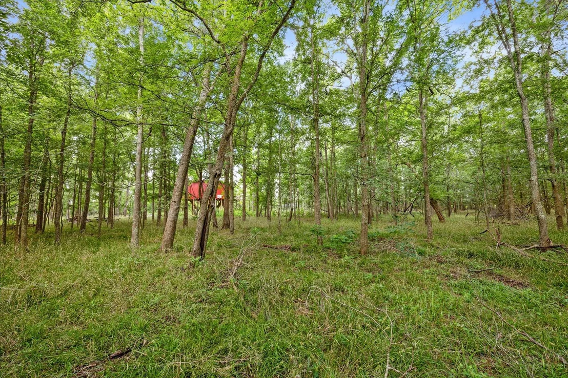 Photo of 8354 Hannay Road