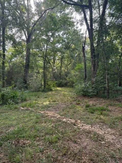Photo of 25571 Kimbro Road