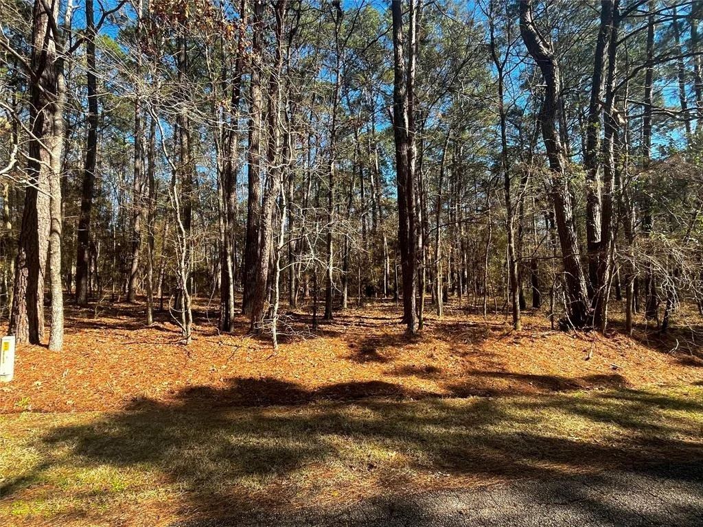 Photo of 55 Green Tree Drive