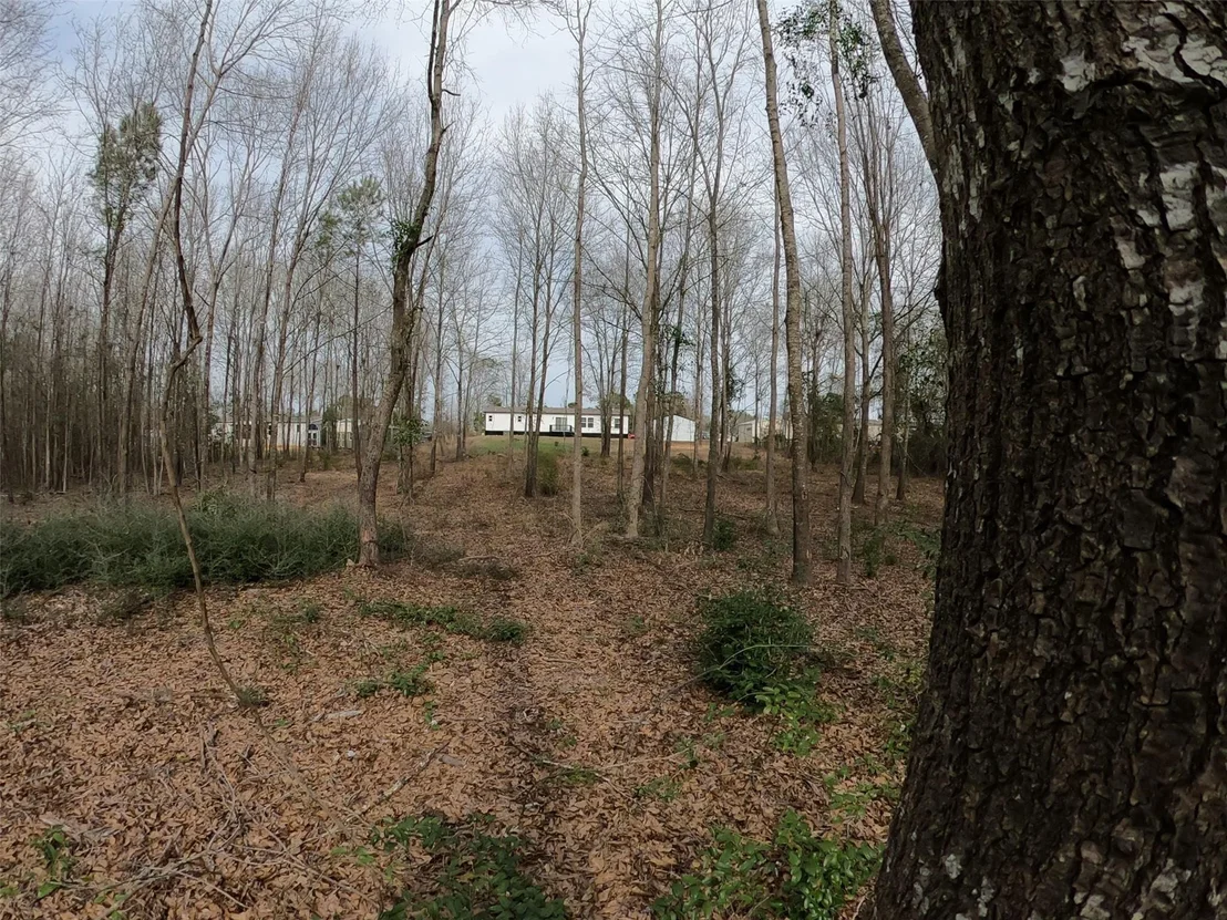 Photo of 141 Tanglewood Drive