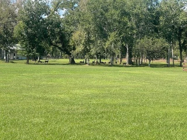 Photo of 802 China Grove Drive