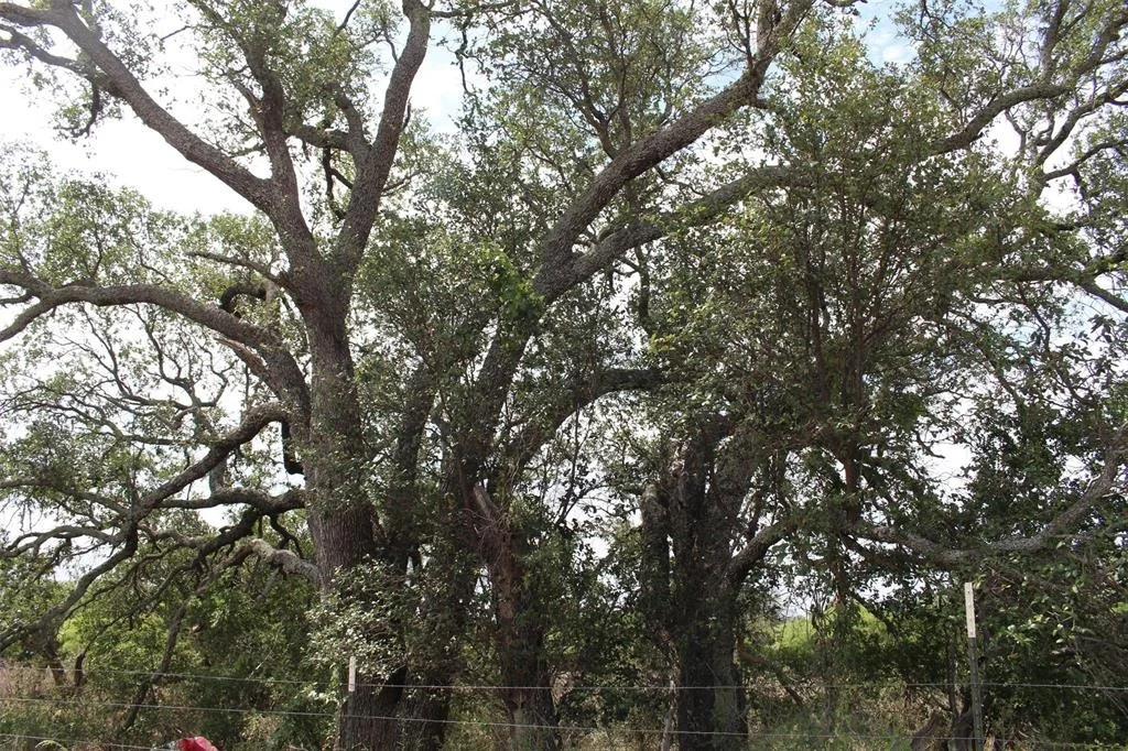 Photo of 000 Tx-29 Highway