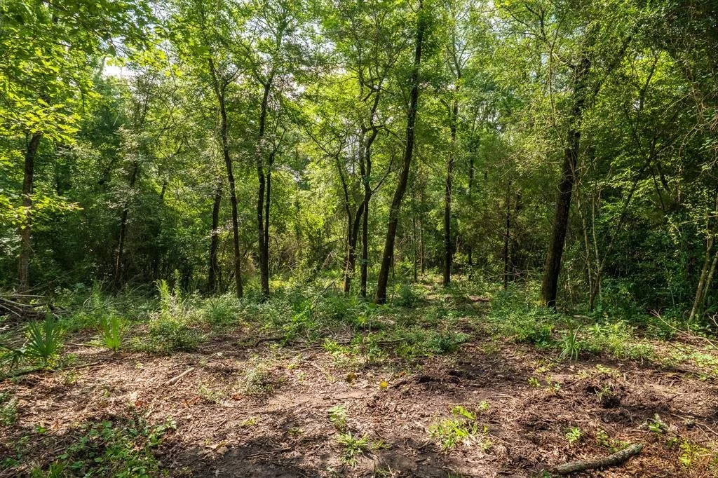 Photo of 760 Rock Creek Drive