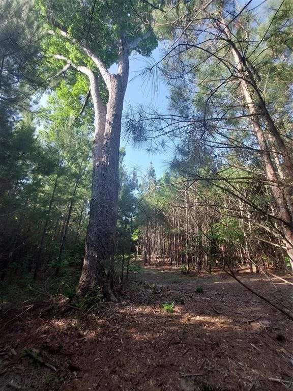 Photo of 526 Pleasure Point