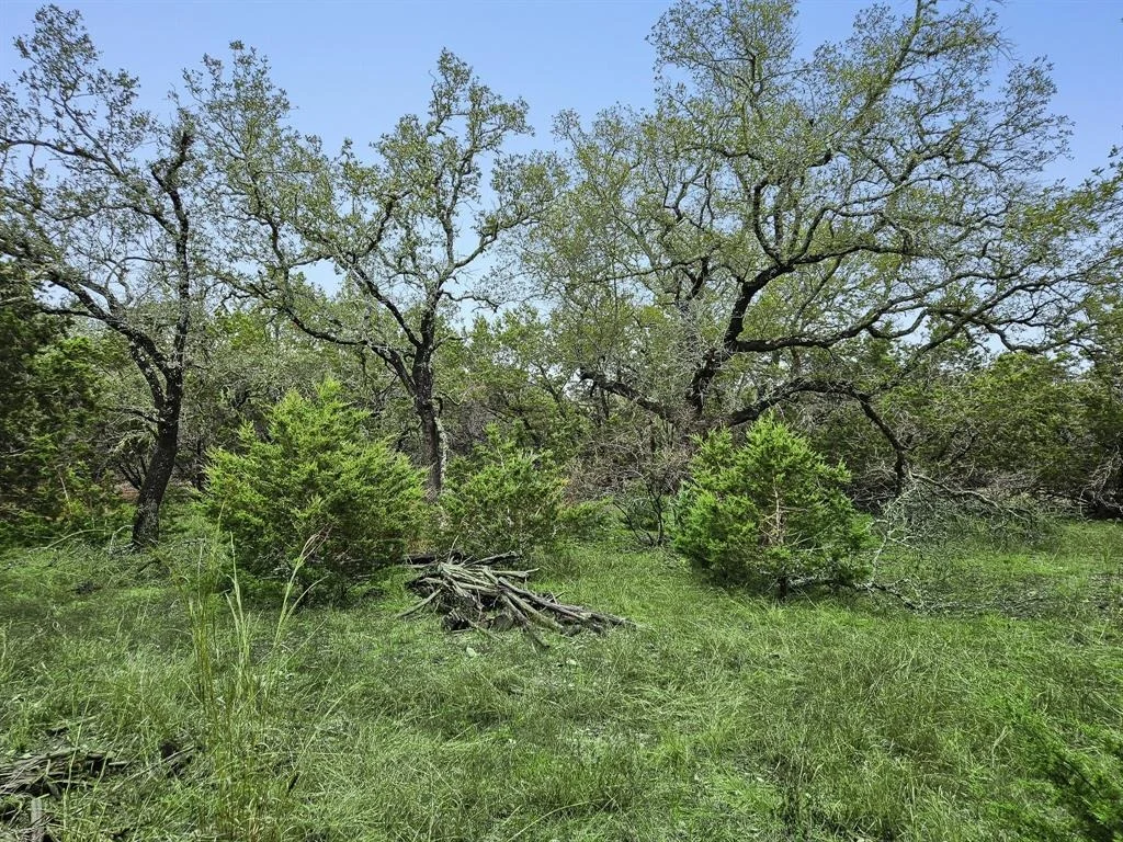 Photo of 157 Verbena Circle