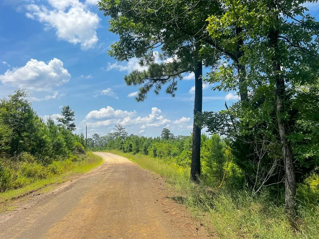 Photo of 02 Fire Tower Road