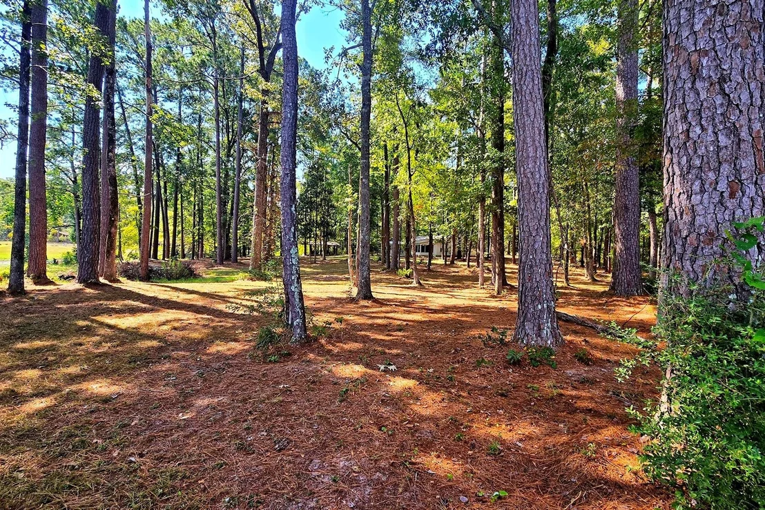 Photo of 431 Madie Duhon Drive