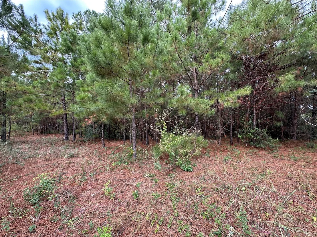 Photo of 3116 County Road 3479b
