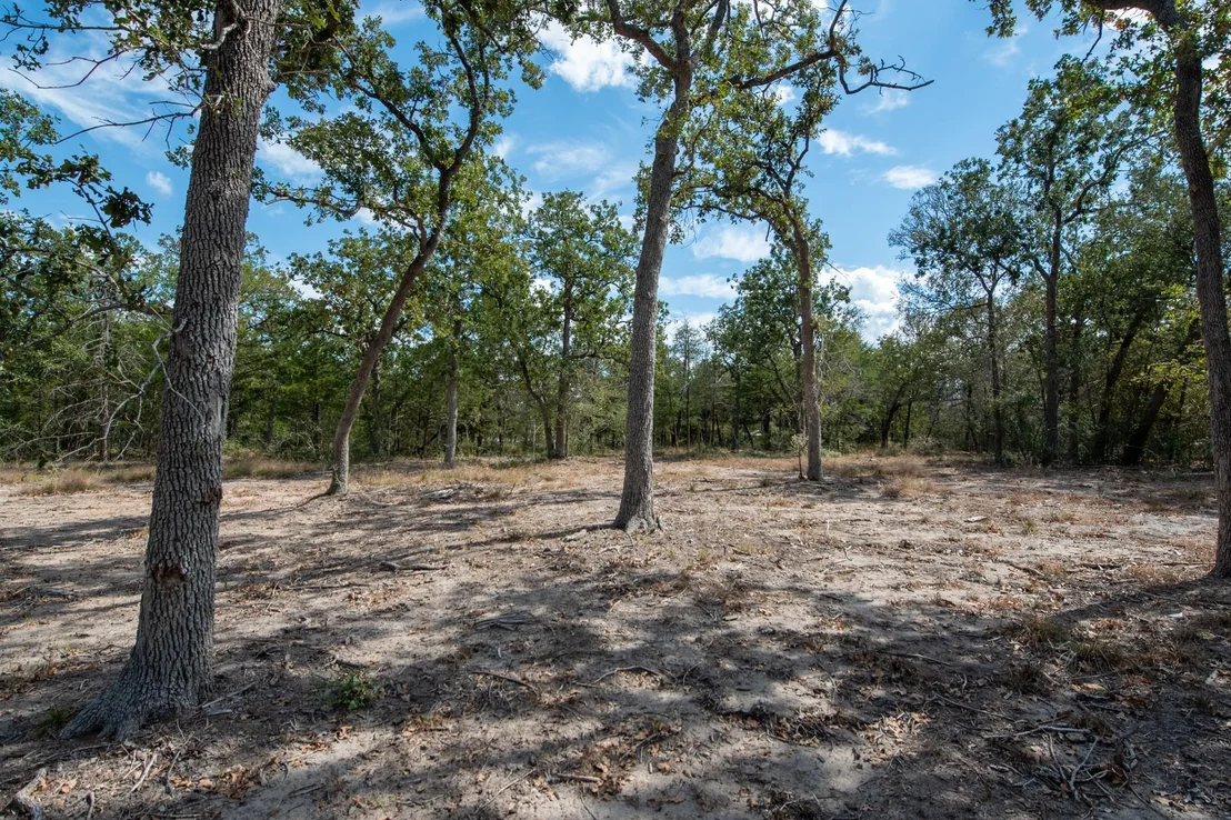 Photo of Lots 211 & 212 Forest Oak Drive