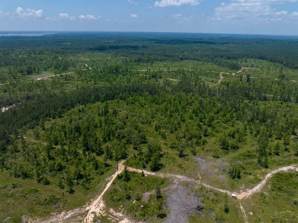 Photo of TBD Fm 355