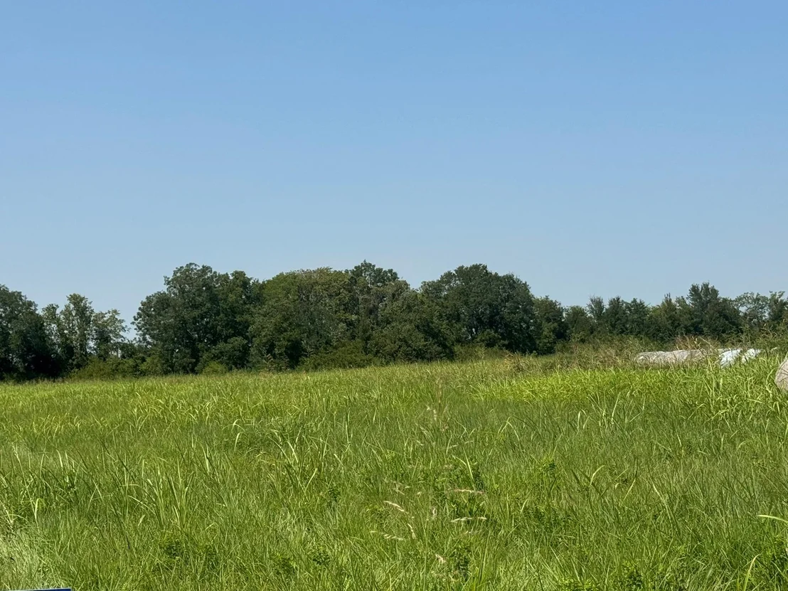 Photo of TBD County Road 230