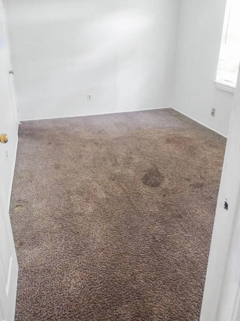 Photo of 4423 Holloway Drive