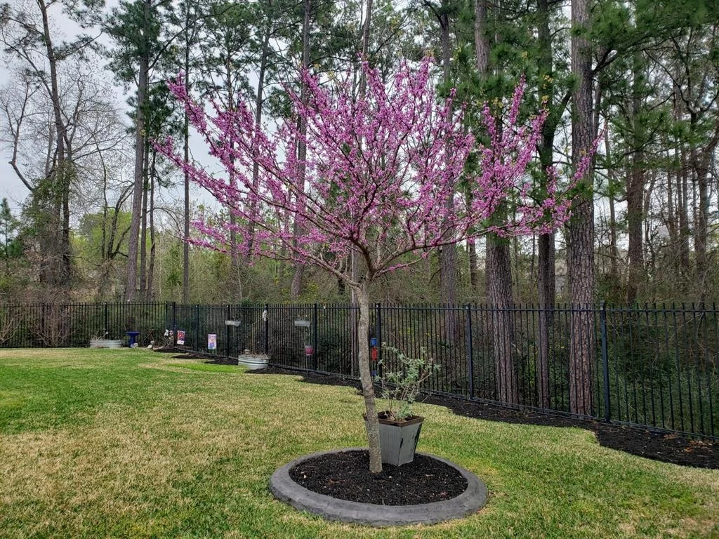 Photo of 8319 Liat Lane
