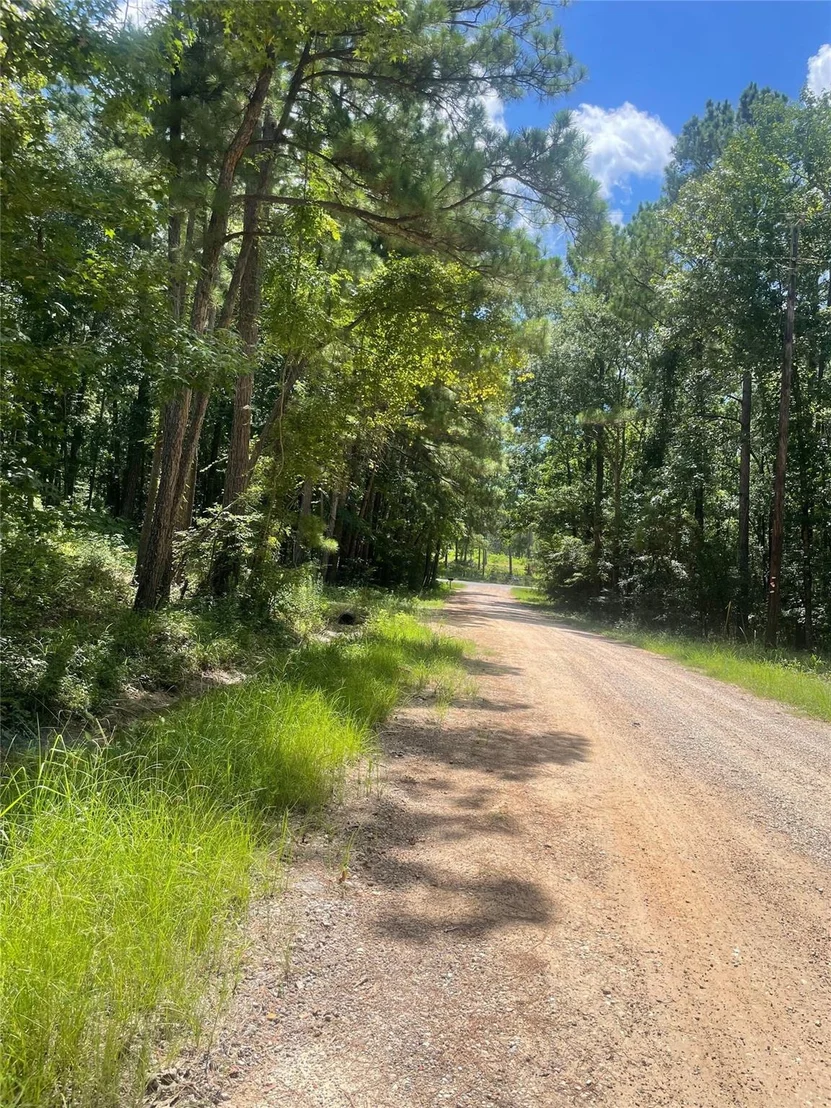 Photo of 70 Tall Timbers Trail