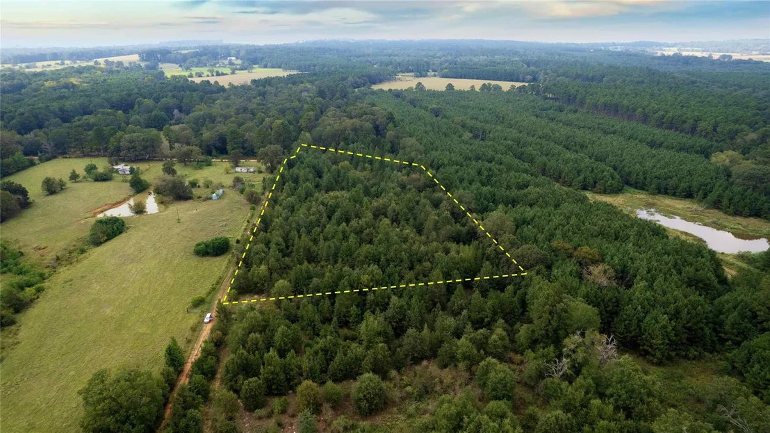 Photo of 770 County Rd 1675