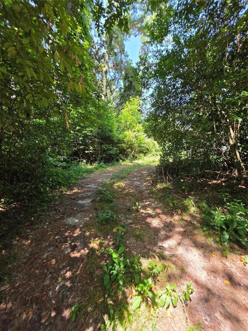 Photo of 9739 Lakeview Drive