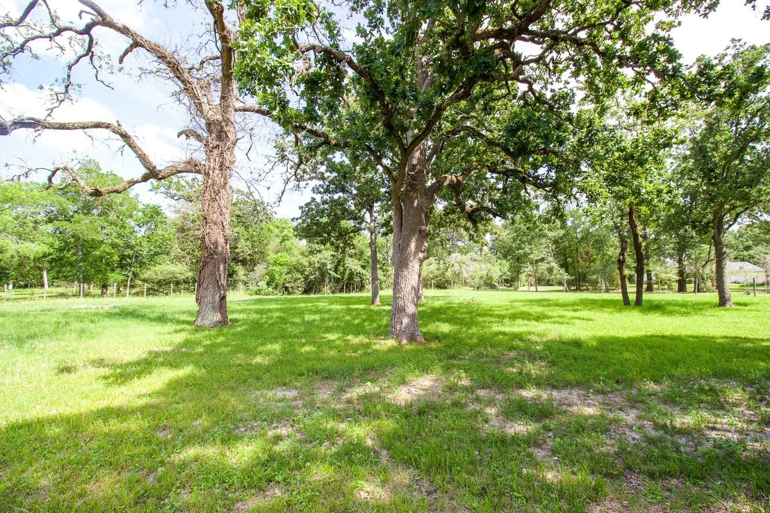 Photo of 54 Windmill Drive