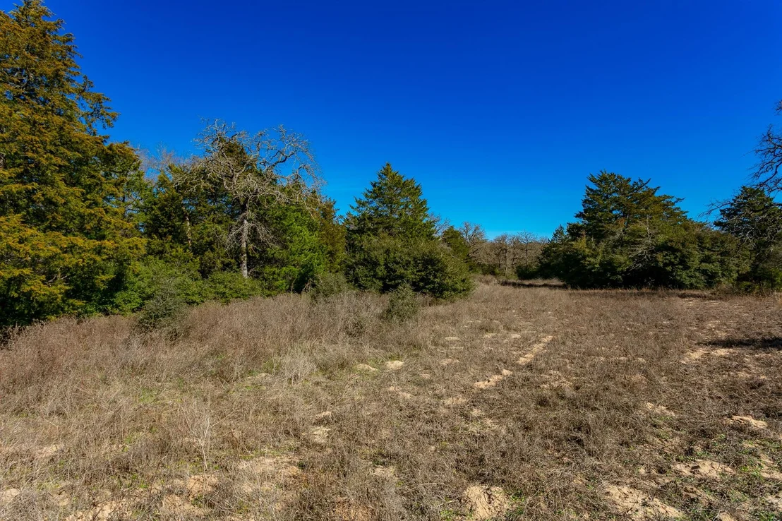 Photo of 10162 County Road 321