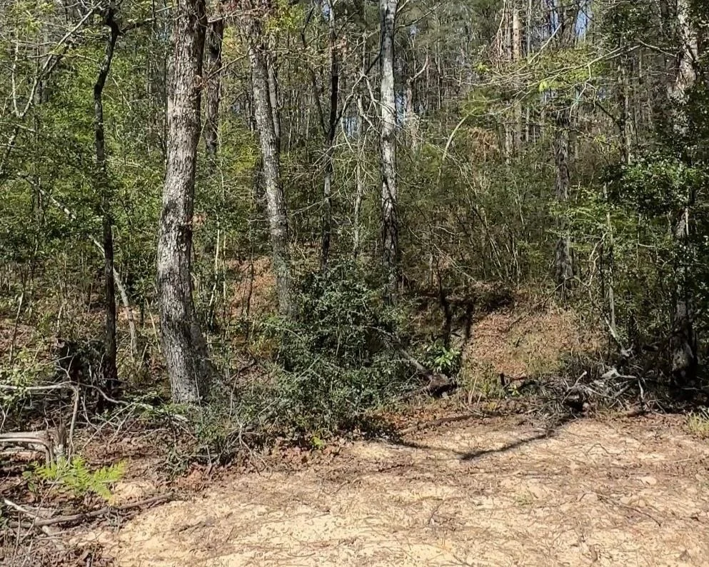 Photo of 16283 Ridge Oak Road