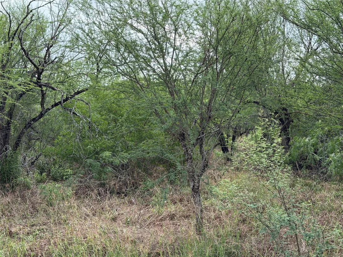 Photo of Tract 9 Love Road