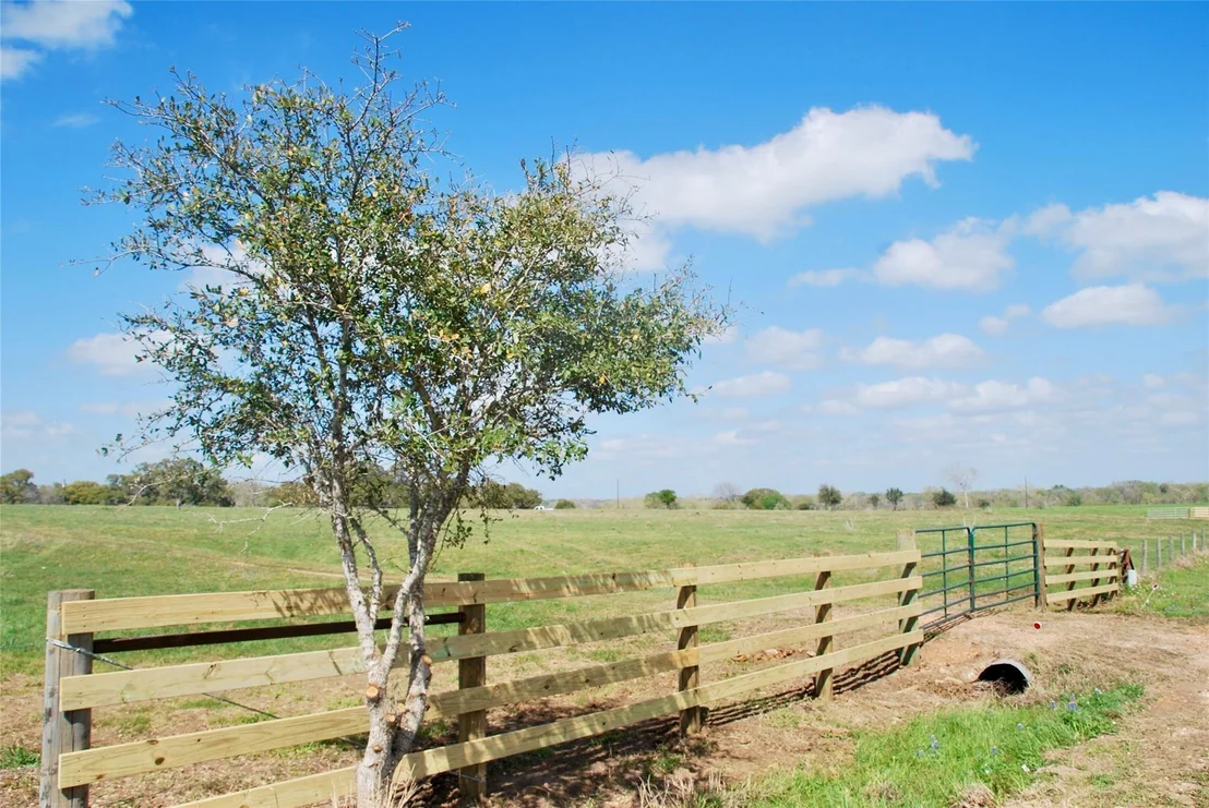 Photo of 494 County Road 217c