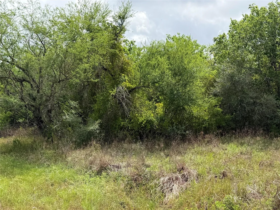 Photo of Tract 9 Love Road