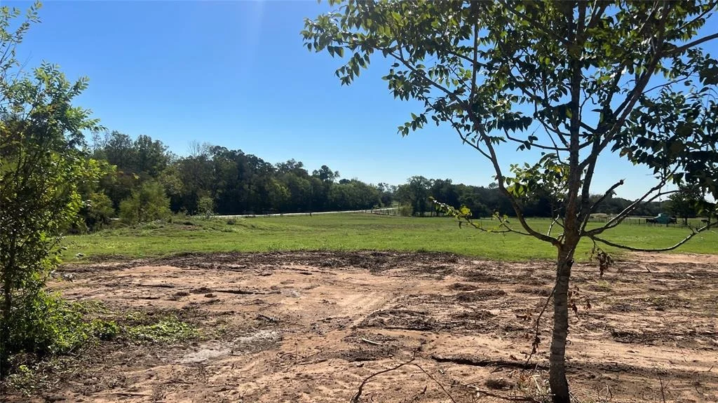 Photo of Lot 2 Cr 319