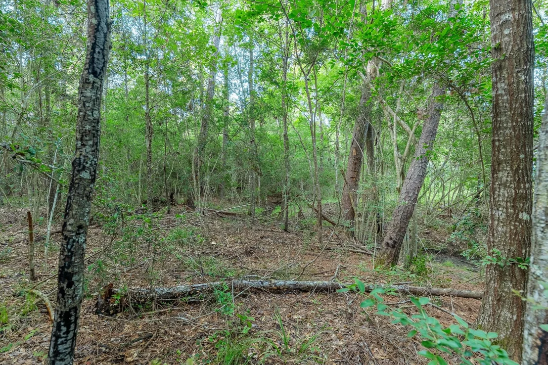 Photo of 5735 County Road 2252