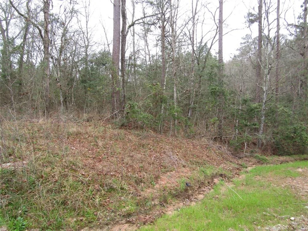 Photo of 0 E Acorn Drive