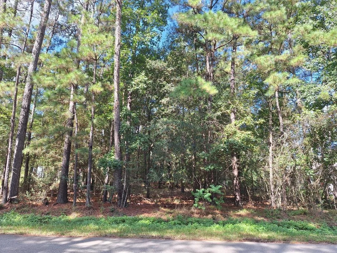 Photo of 1023 Weisinger Drive