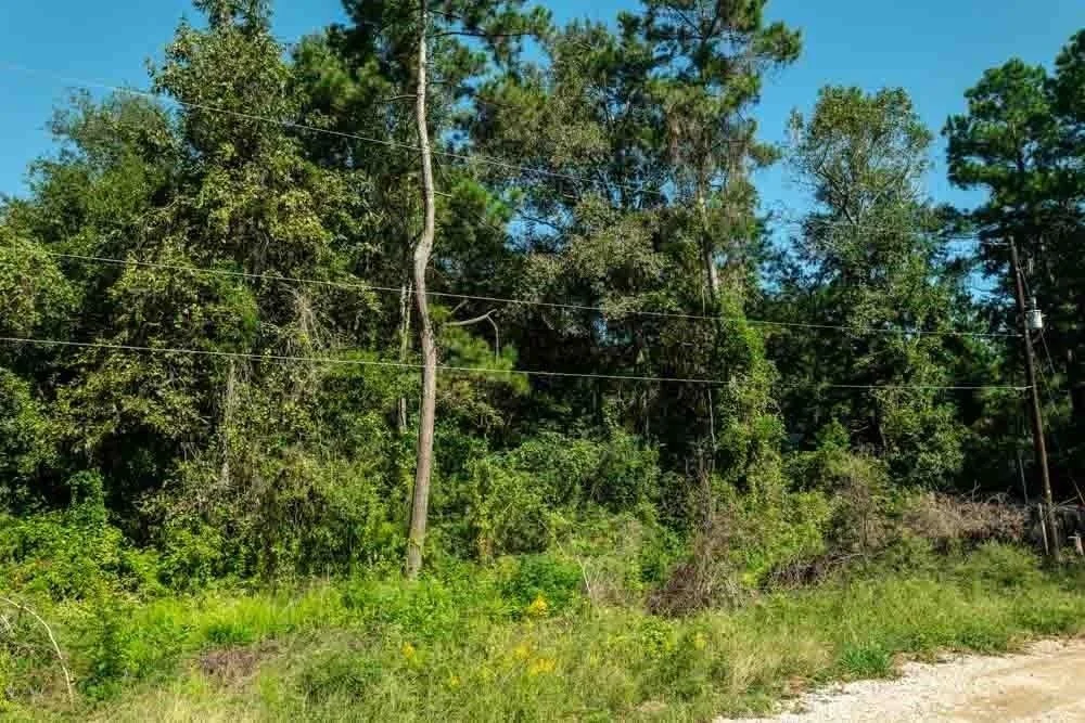 Photo of 25865 Somerset