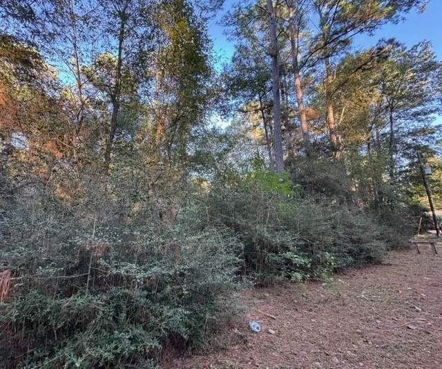 Photo of 70 Quail Trail