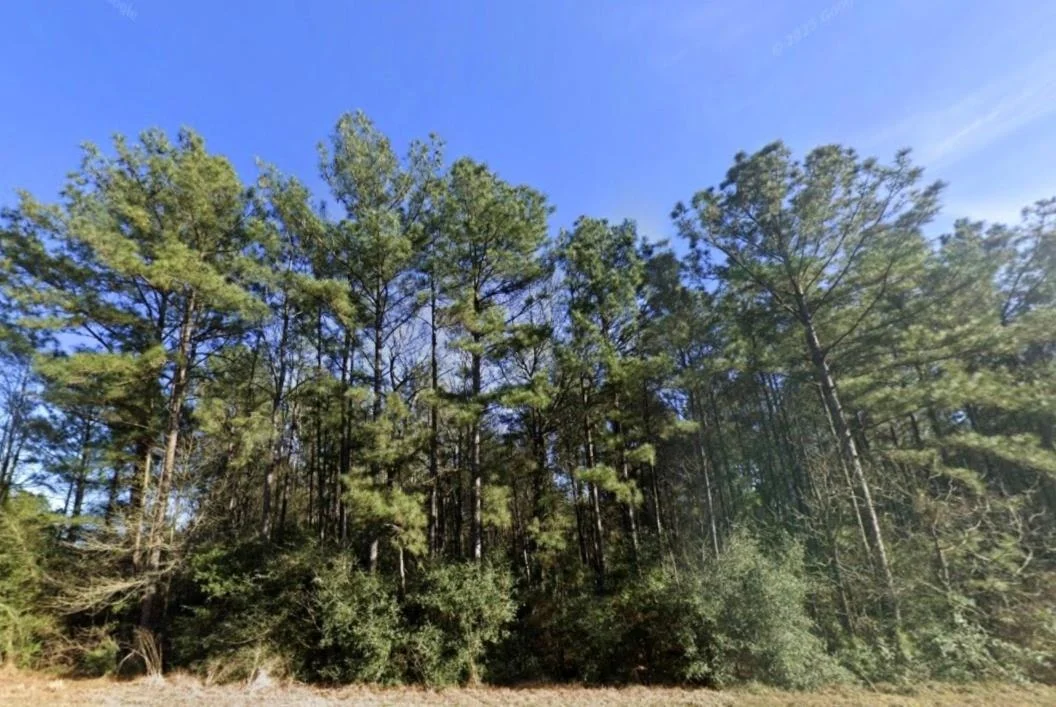 Photo of 157 Rock Ranch Drive