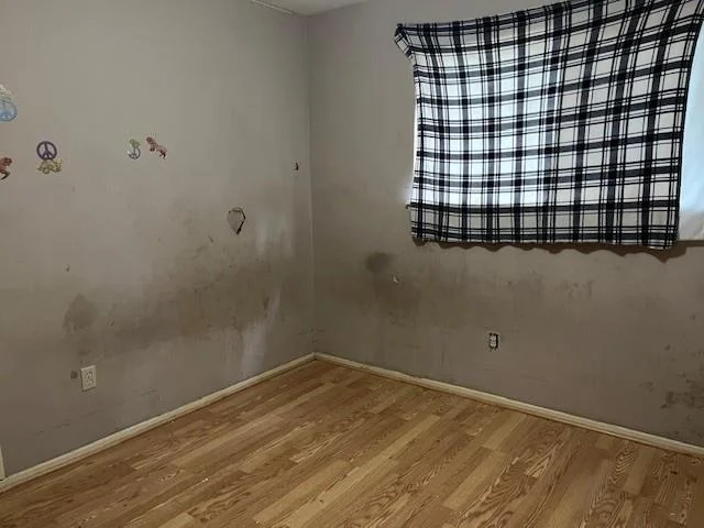 Photo of 4 Dashwood Forest Street